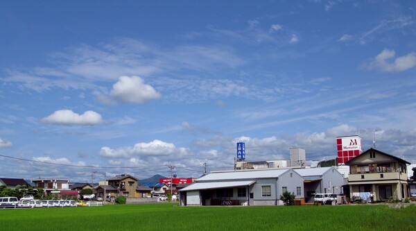 雨降らず