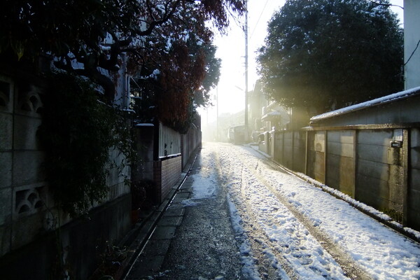 朝の雪道