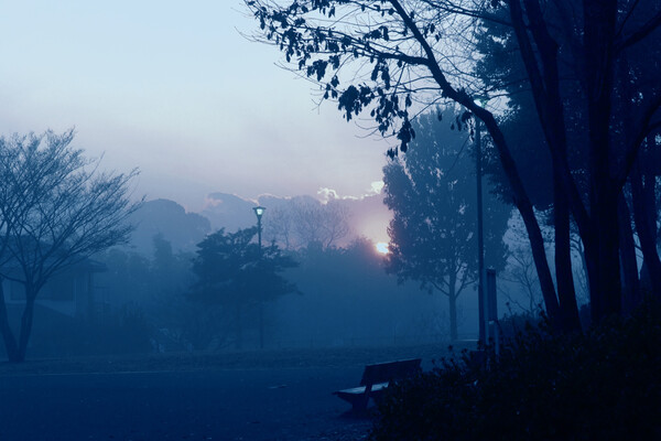 「道」朝靄の静寂の中