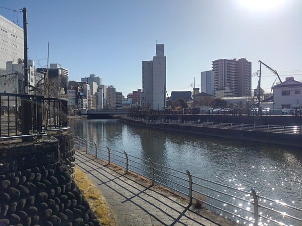 宇都宮の中心部あたりの川沿いの道