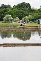 田植え体験田んぼ 準備完了