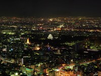名古屋城　夜景