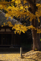 喜多方の熊野神社