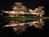 夜桜の駅
