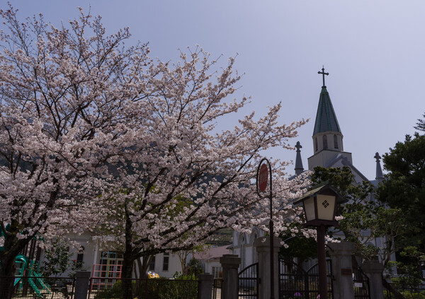 【桜花】教会
