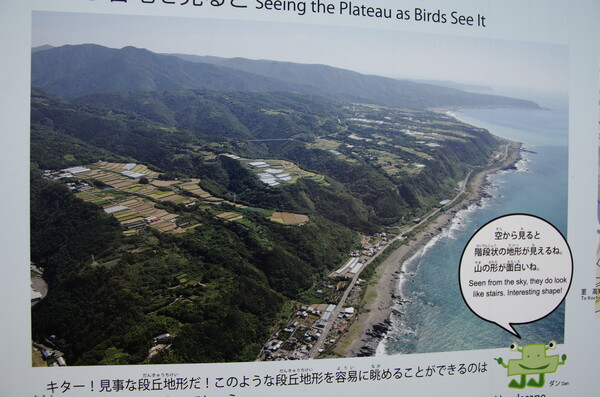 写真よさようなら