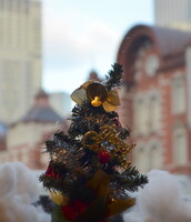 クリスマスツリーと東京駅