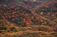 久住連山の紅葉を撮る。