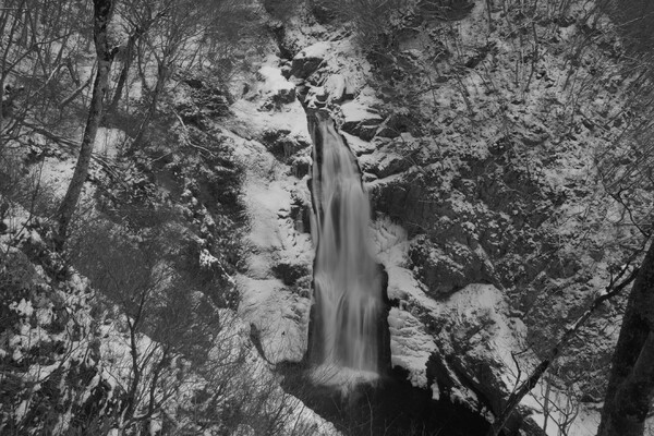 雪の秋保大滝