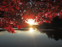 南湖の秋～落日～