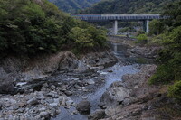 近所の散歩道で
