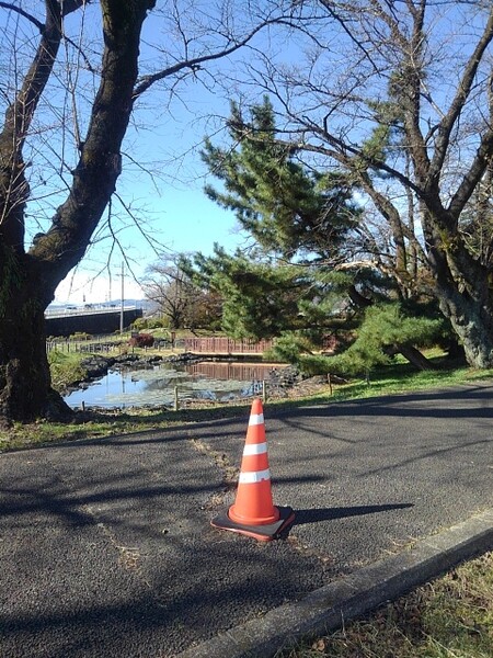 長峰公園の木の隙間から見えた池