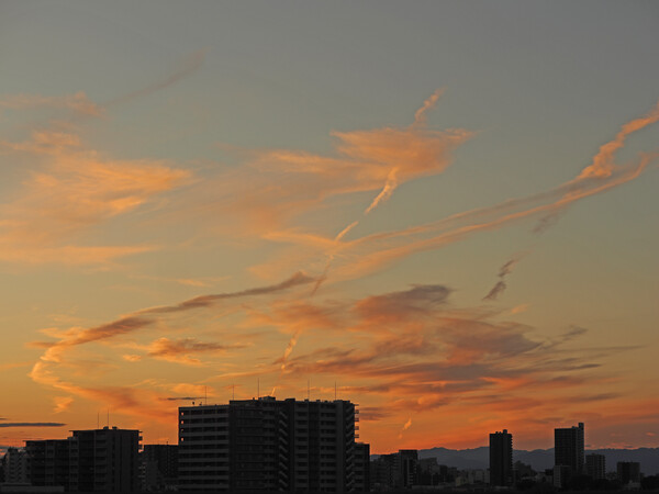 夕暮れのエキシビション