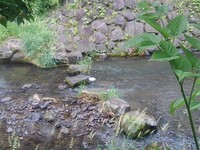 石垣の土手と飛び石
