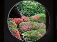 サツキ庭園の円窓