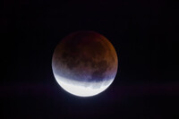 何とかブルーベルト（ターコイズフリンジ）