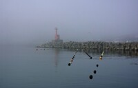 漁港の朝　１