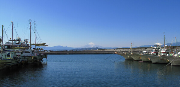 茅ヶ崎漁港