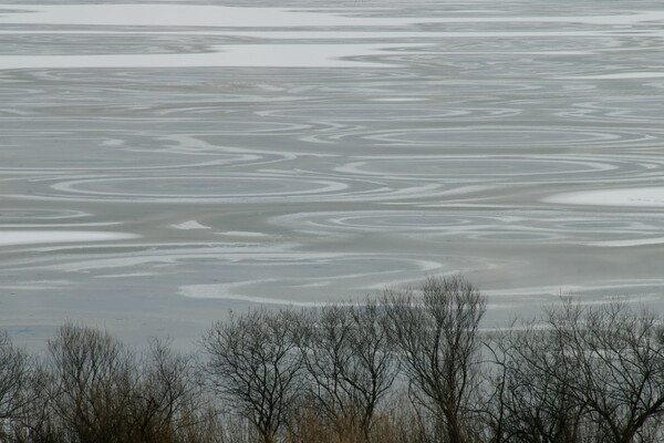 凍結する湖面のパターン