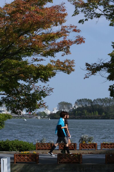 紅葉までもう少し