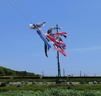 5月4日