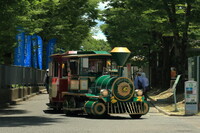 万博記念公園にて