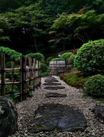 雨の庭園
