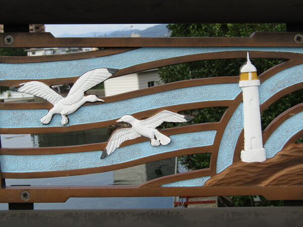 🌊神田瀬橋🌊　に海鳥がやって来ました