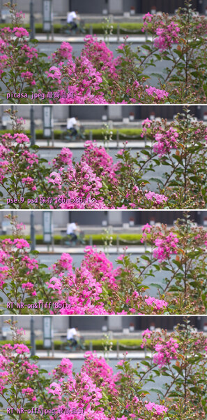 真夏の市庁舎前>RAW現像並べです。