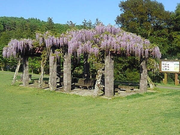 那須野が原公園の藤棚の休憩所