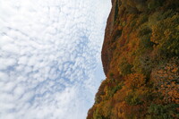 栗駒山は紅葉満開