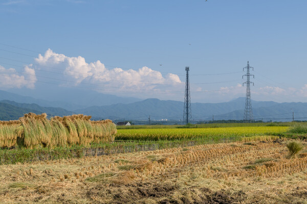 ハザカケの秋風景