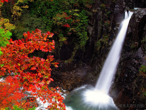 【秋】　滝と紅葉　２