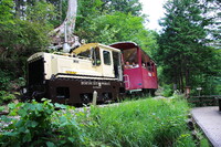 森林の鉄道