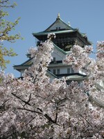 桜と大阪城＾＾