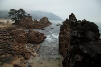 小雨の岩場（敦賀）