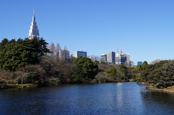 新宿御苑にて