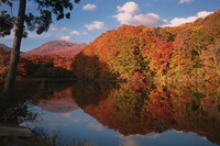 五色沼の紅葉と姥ヶ岳