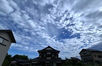 朝の雲