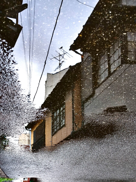 白日夢２
