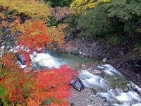 【秋】　川と紅葉　２