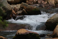 越後湯沢の山奥にて９
