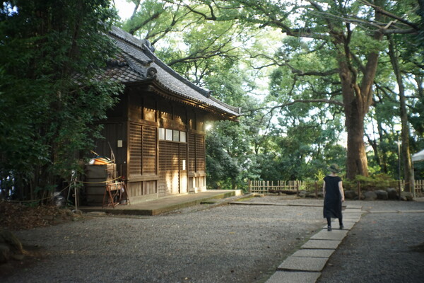 夕暮れの世田谷八幡