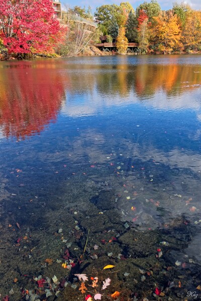 湖岸の秋