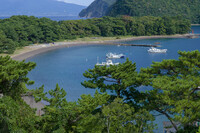 魅せられる碧～戸田港～