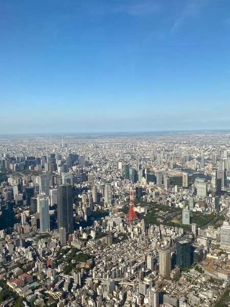 空から見る東京は・・・