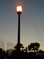 【トキメキの色】夕暮れの街灯