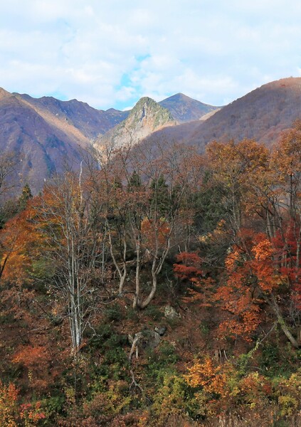 越後の山  晩秋