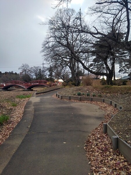 奥に赤い橋のある公園の道