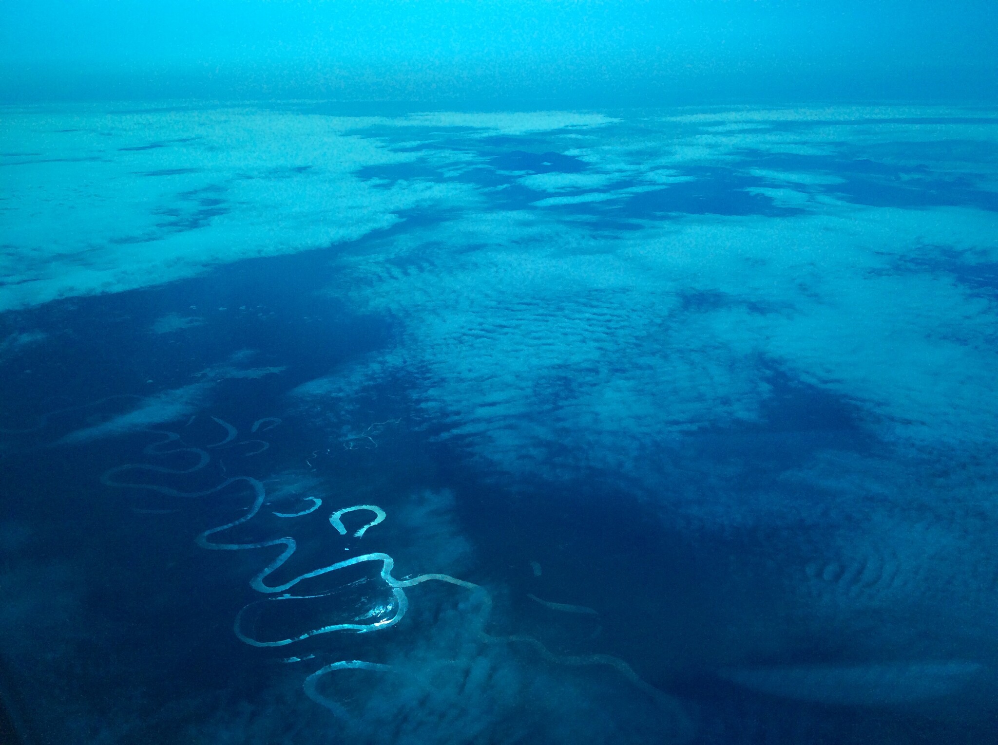 オランウータンの棲む島